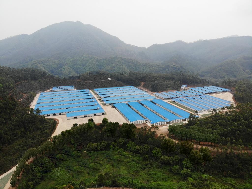 出口示范基地“進(jìn)階記”④ | 出口創(chuàng)匯8677萬美元，唐順興食品爭當(dāng)農(nóng)產(chǎn)品出口大戶