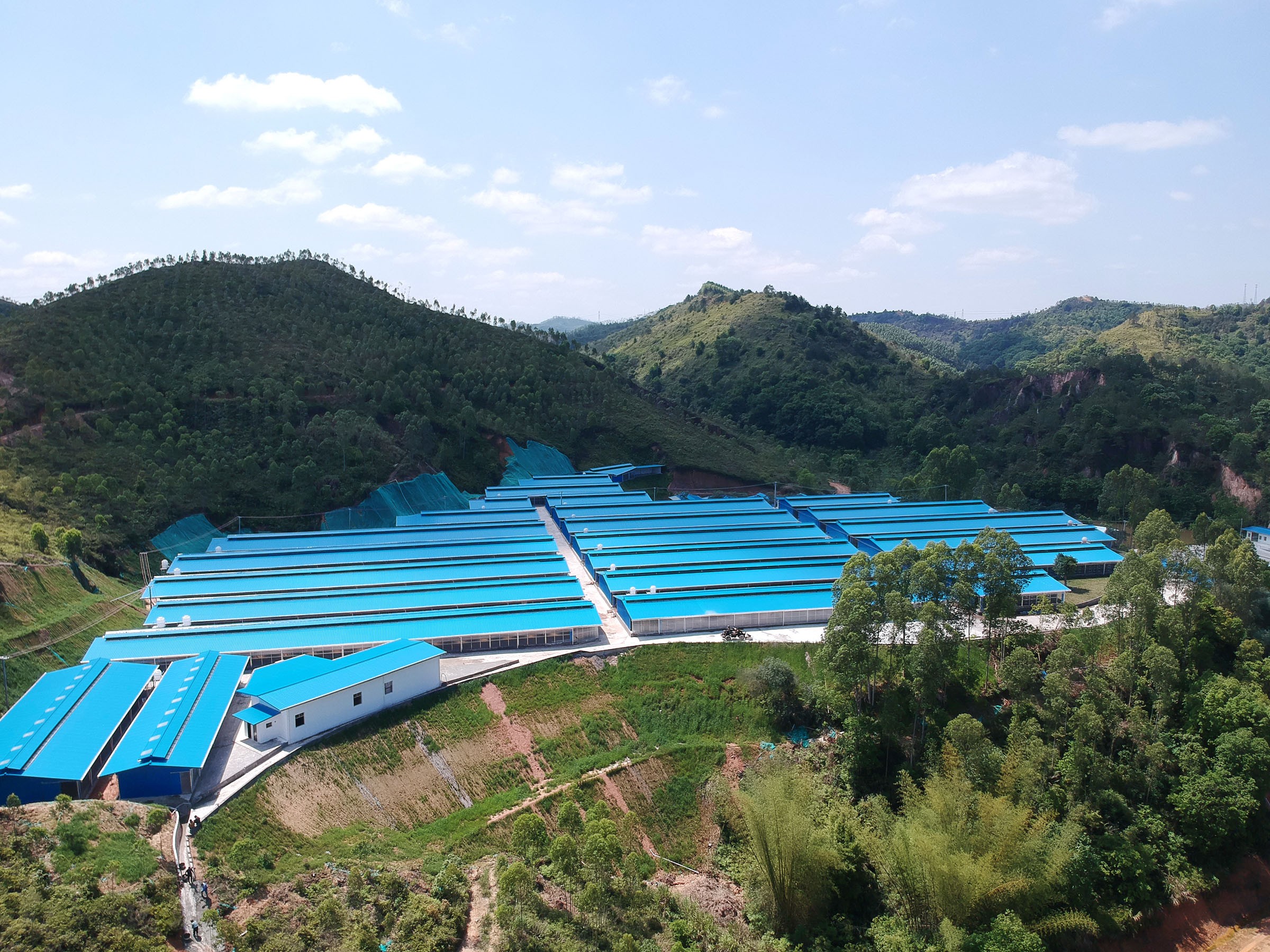 祝賀順安牧場(chǎng)榮膺縣級(jí)農(nóng)業(yè)龍頭企業(yè)稱號(hào)