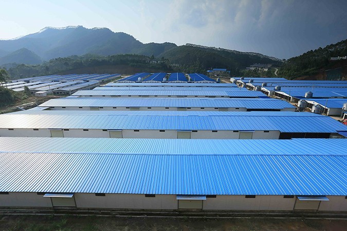 乳鴿食材批發(fā)廠家哪家好 ？ 