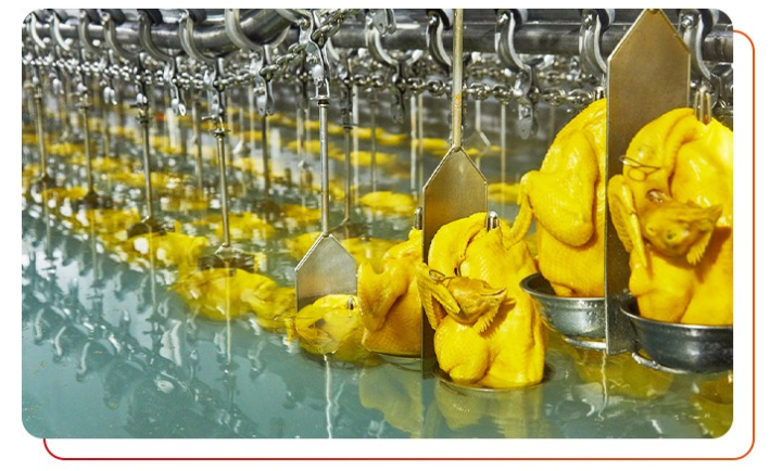 如何選購一家白切雞食材供應(yīng)商