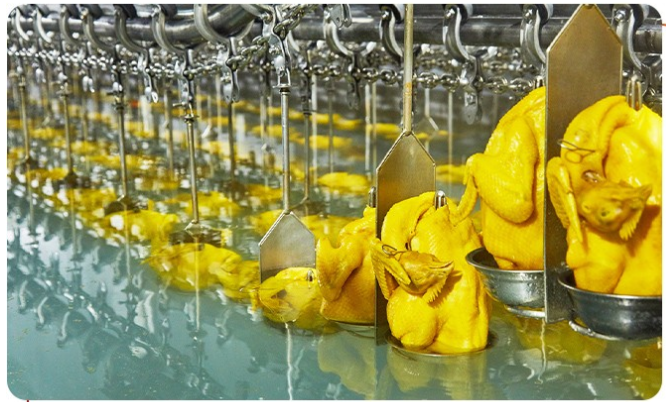 白切雞食材供應(yīng)商有安全保障嗎？