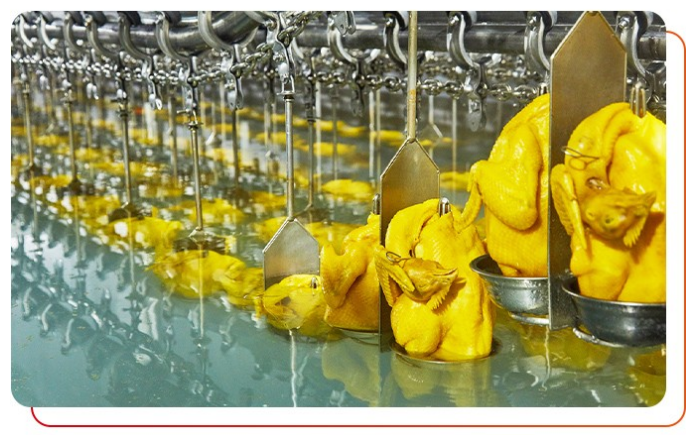 港式燒臘批發(fā)對(duì)工廠有什么要求