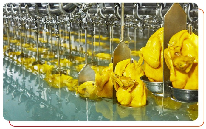 白切雞食材供應(yīng)商加工過程中注意事項(xiàng)