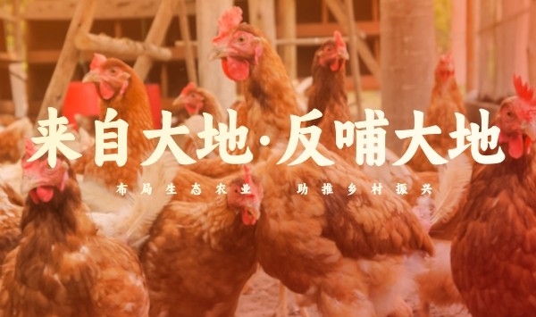 白切雞食材供應(yīng)商如何保障食品安全 